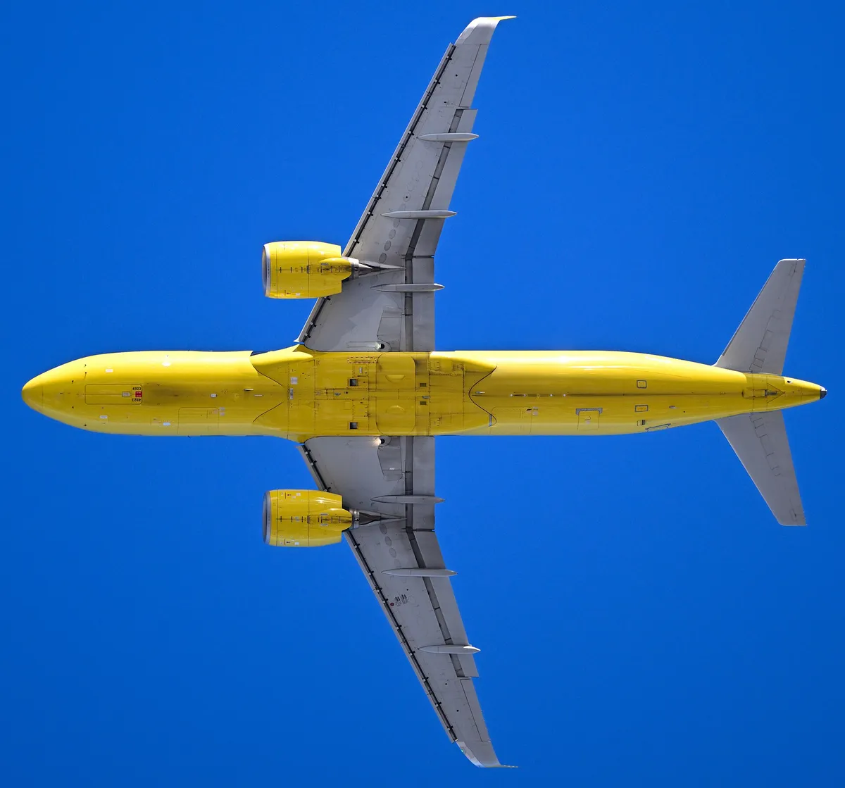 Spirit Airlines Airbus A320neo seen directly from below, showing the underside outline, engine pods, and wing shape.